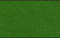 Tapis de billard english green