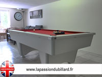 Billard Supreme Dpt Superleague Lafuge Rene Pierre eurobillard Toulet: Billard Domestic blackball blanc tapis rouge.